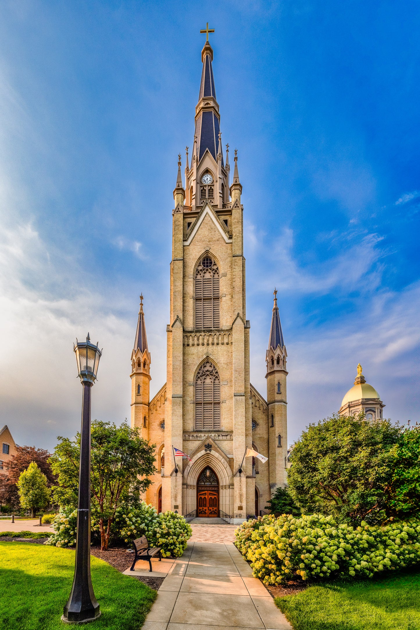 Basilica of the Sacred Heart image 0