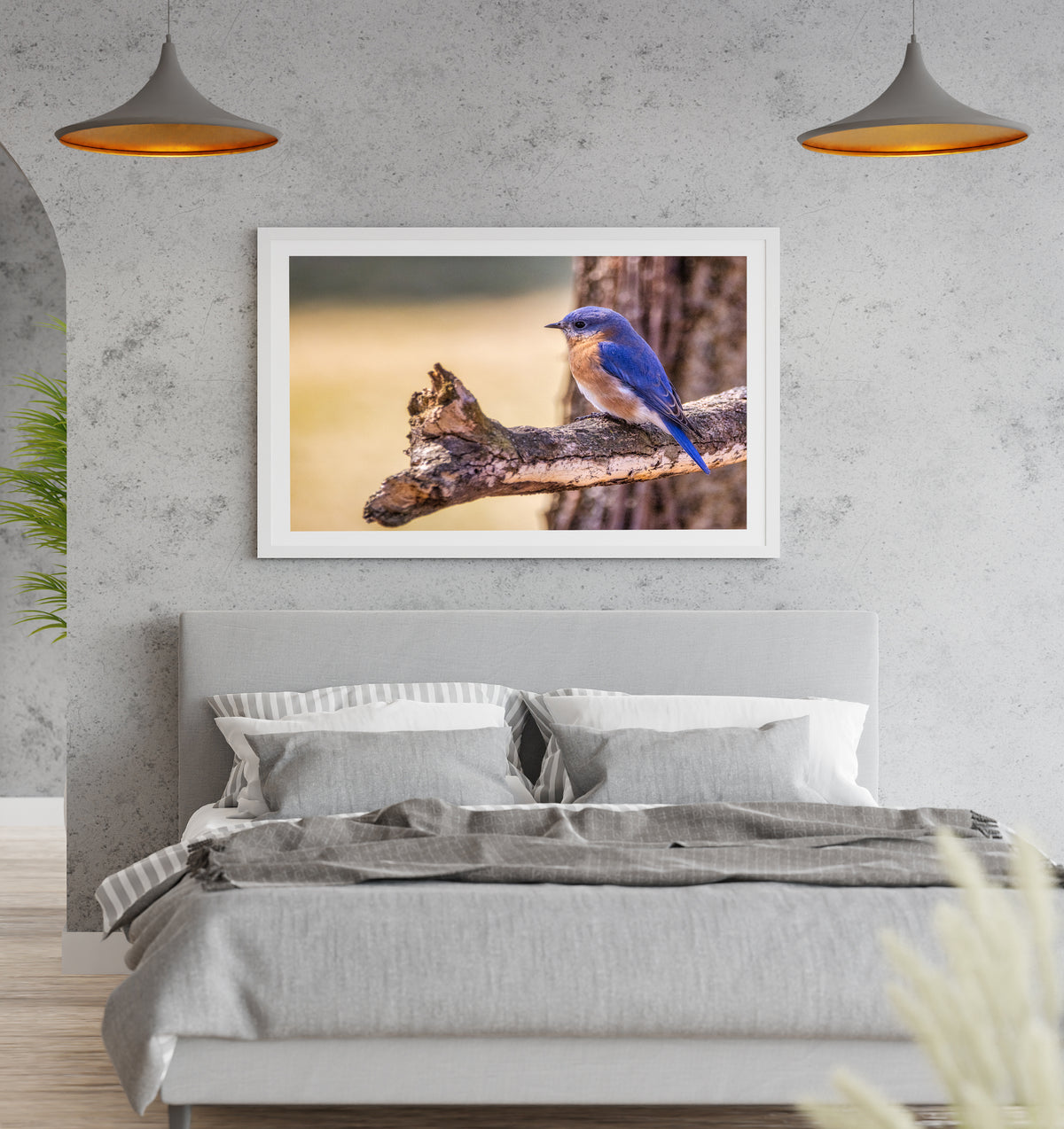 Perched Eastern Bluebird