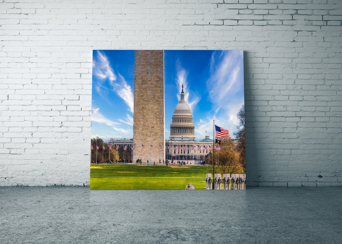 An Economical View of the National Mall