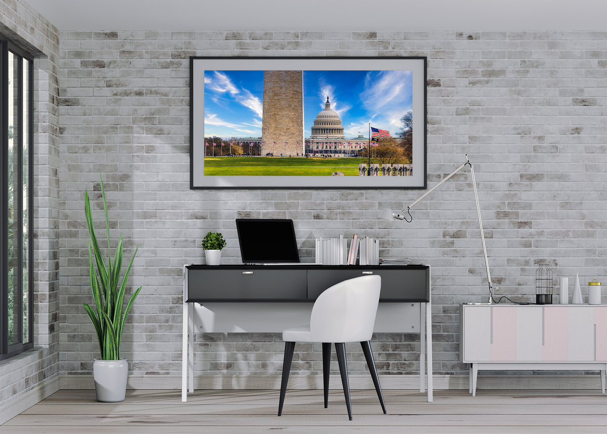 An Economical View of the National Mall