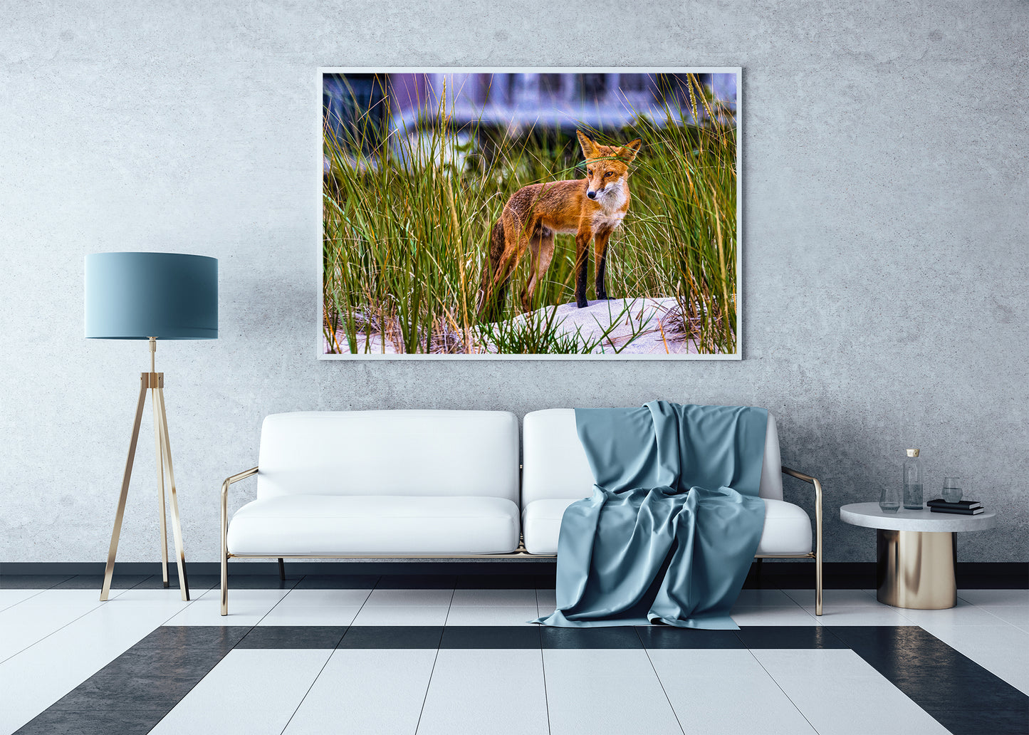 Fox on the Beach