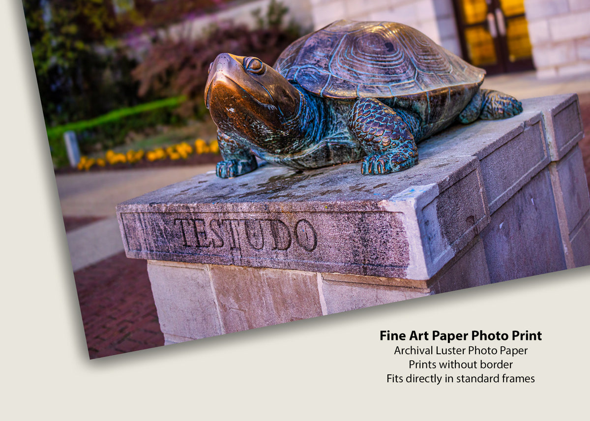 Estatua de Testudo