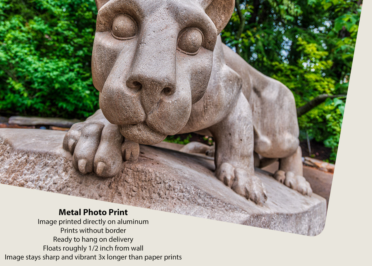 Face-to-Face with the Nittany Lion Statue