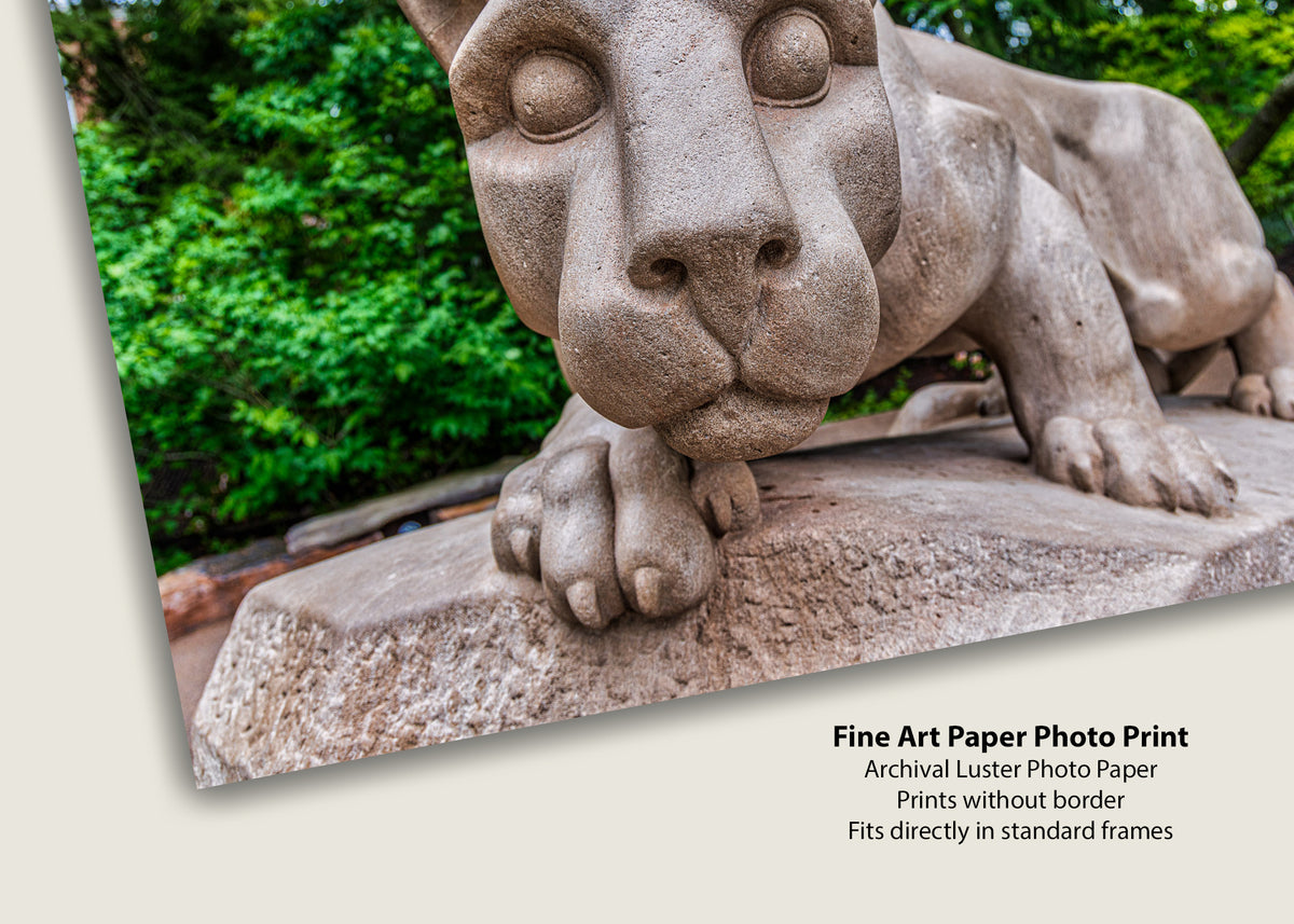 Face-to-Face with the Nittany Lion Statue