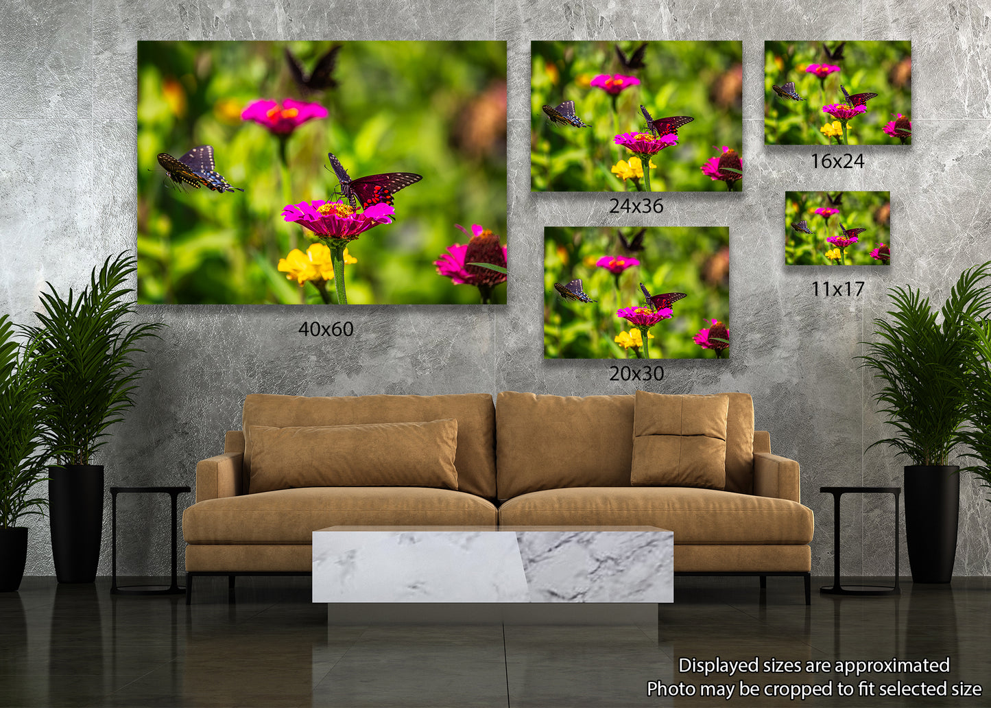 Three Black Swallowtails