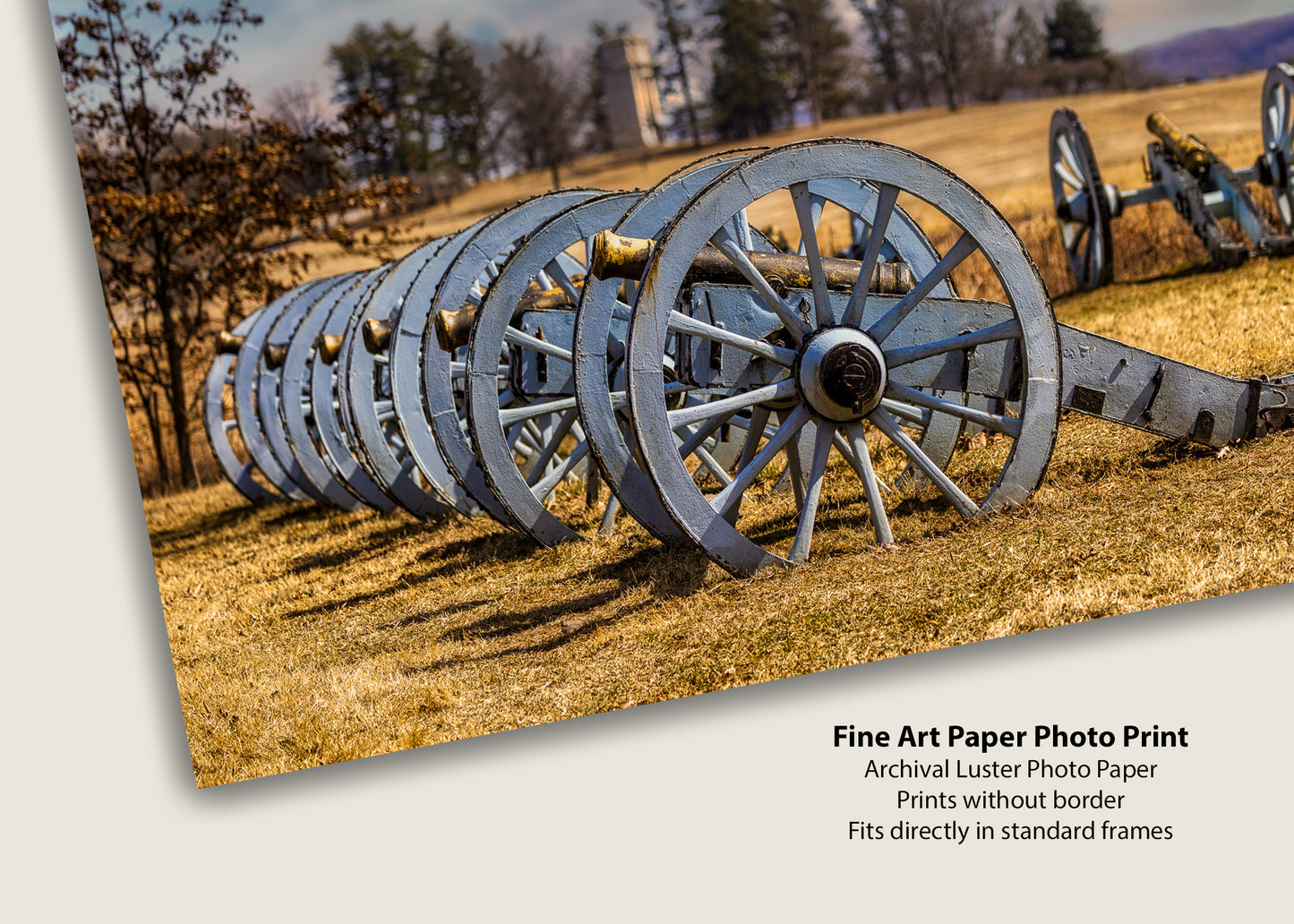 Cañones de la Causa
