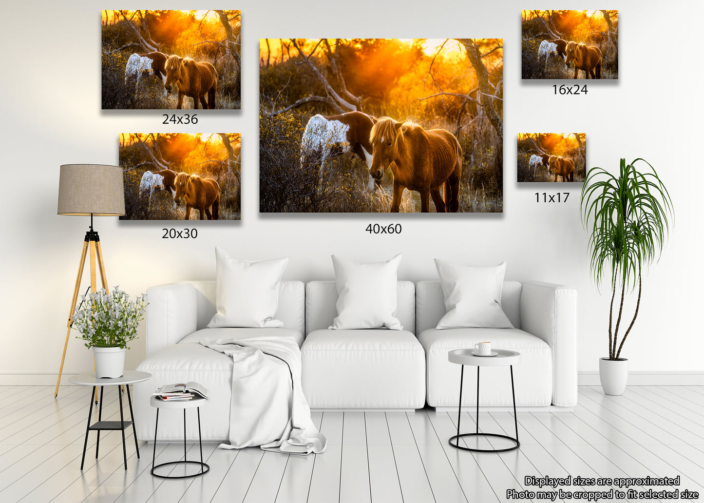 Caballos salvajes de la isla de Assateague