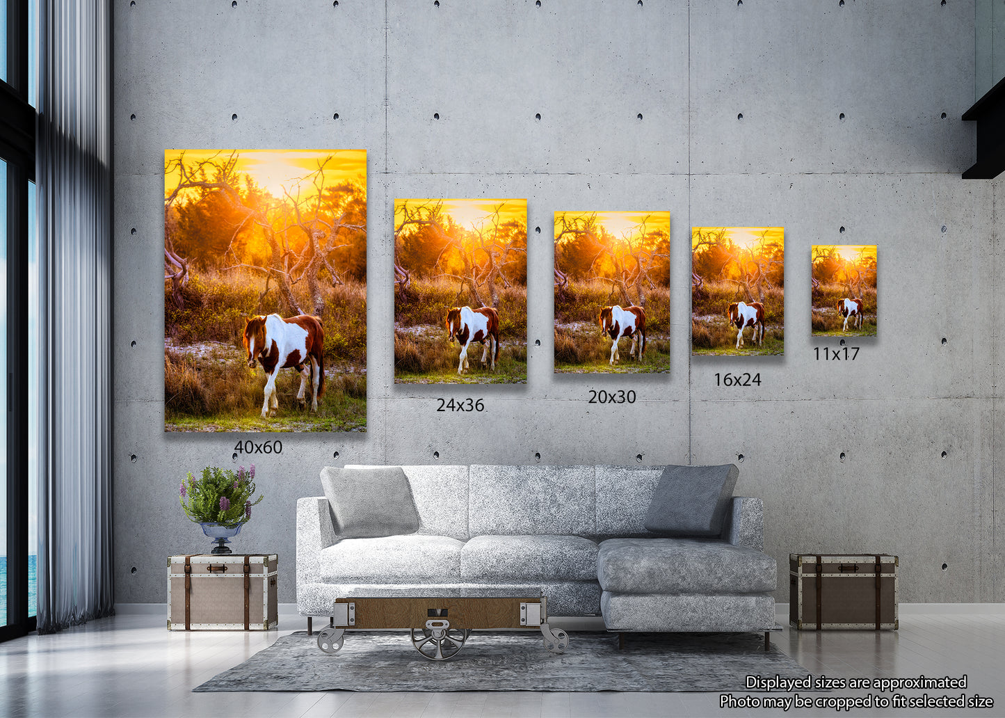 Salt, Sand, Sun and Hooves