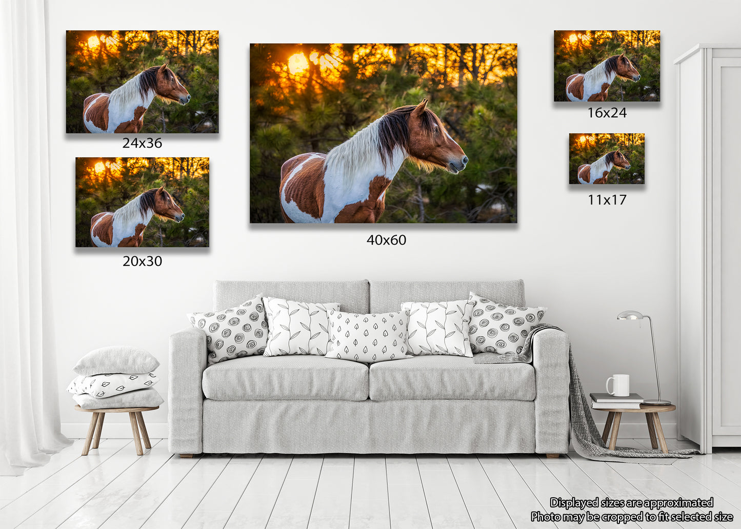 Salvaje al atardecer