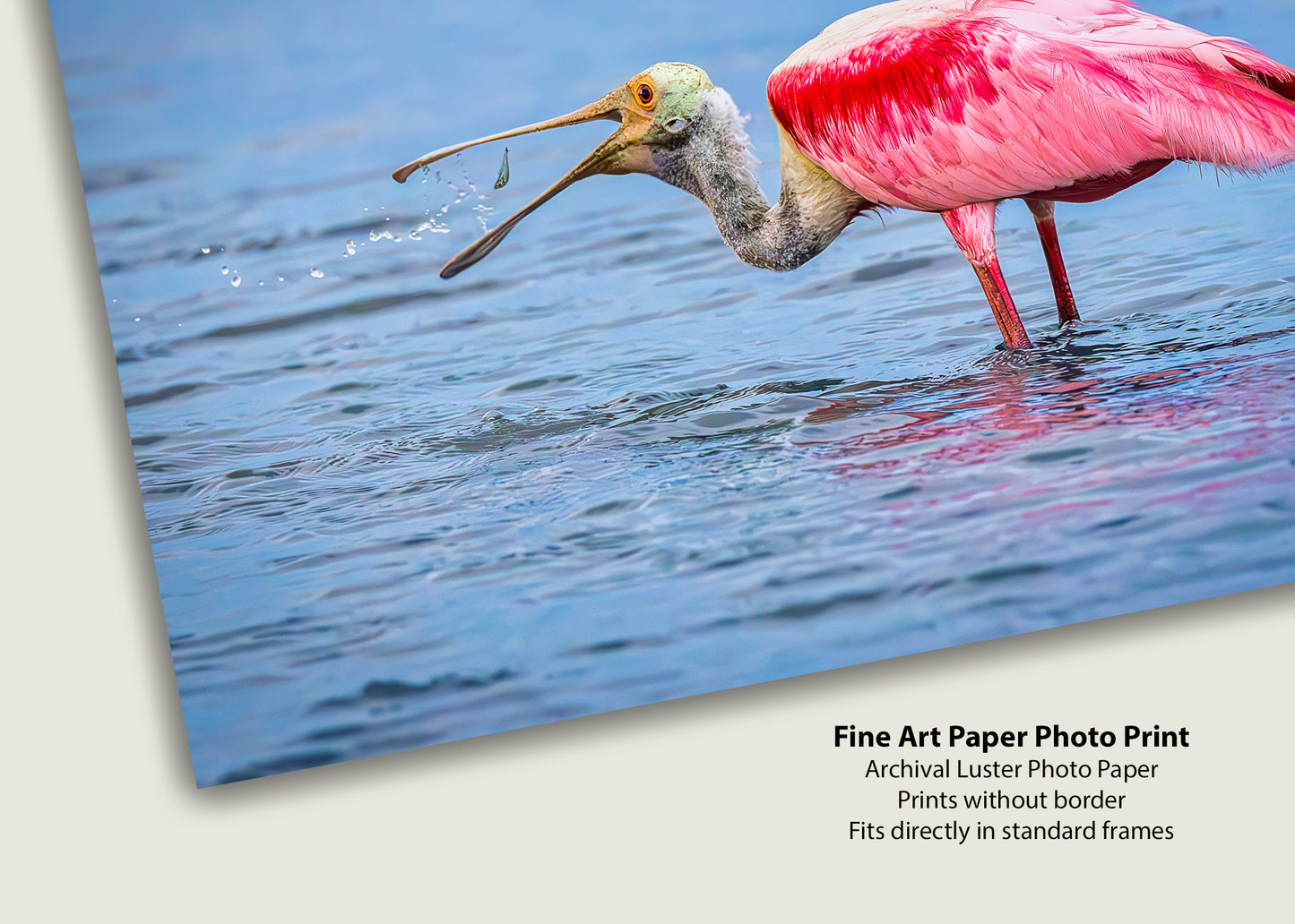 Atrapando la cena con una espátula rosada