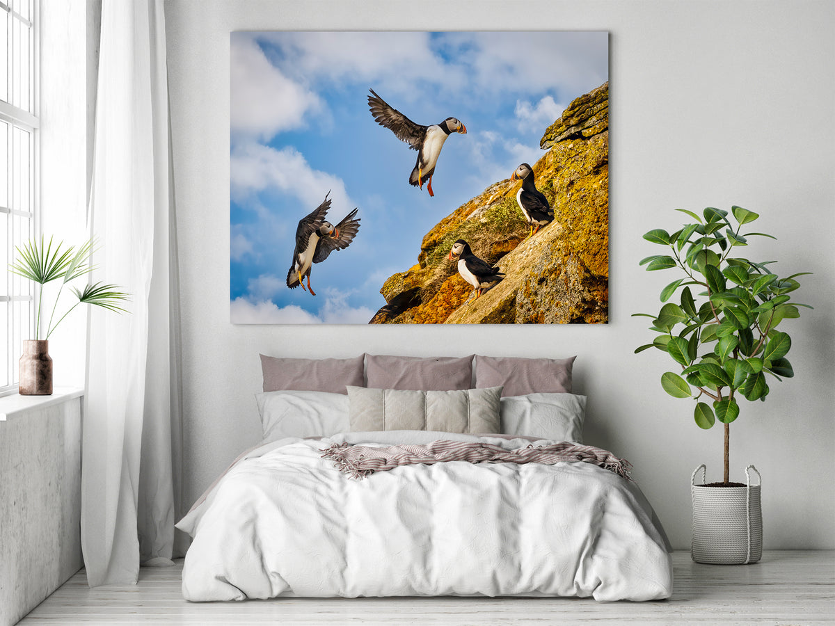 Aproximación final a Puffin Ridge