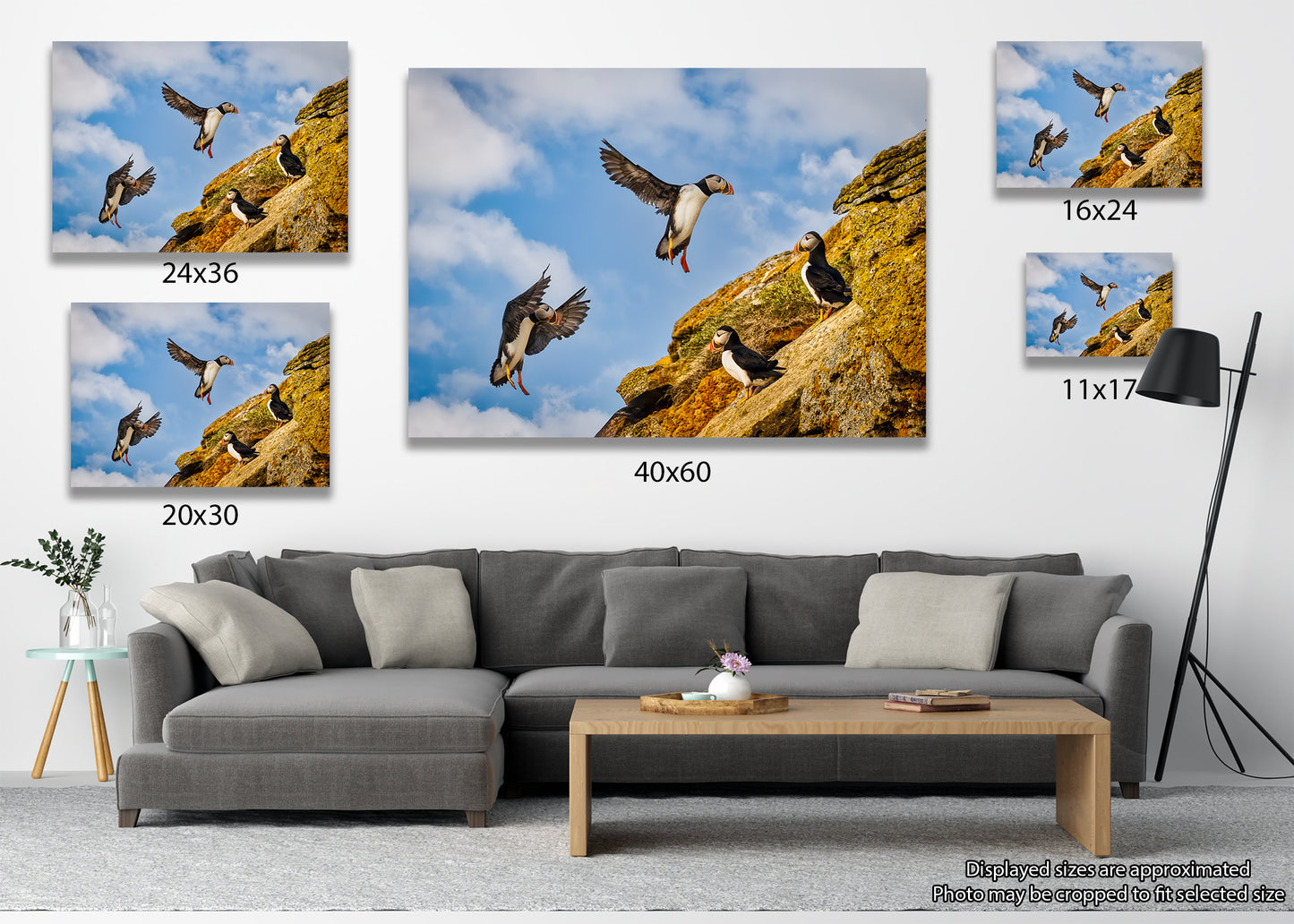 Final Approach at Puffin Ridge