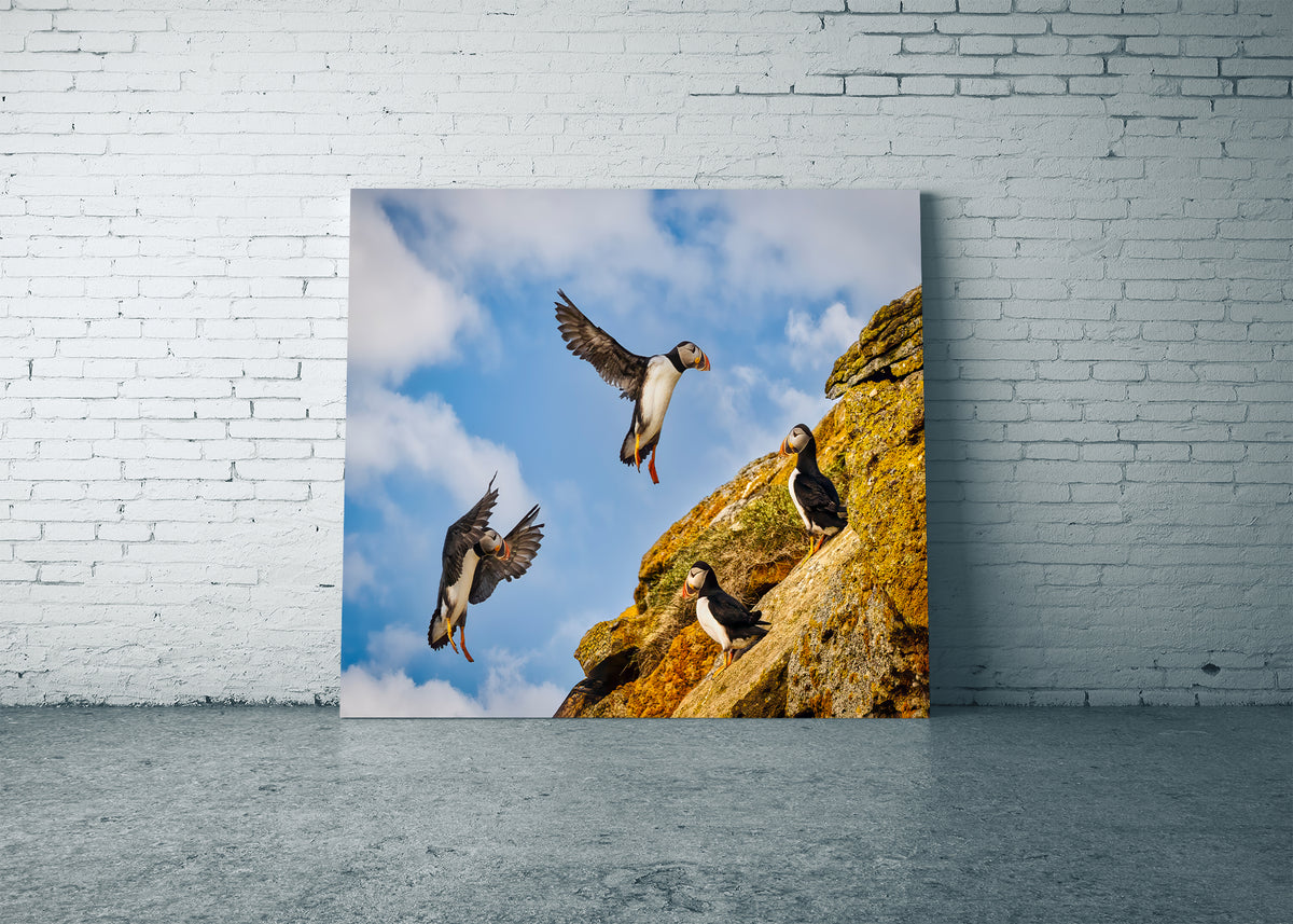 Aproximación final a Puffin Ridge