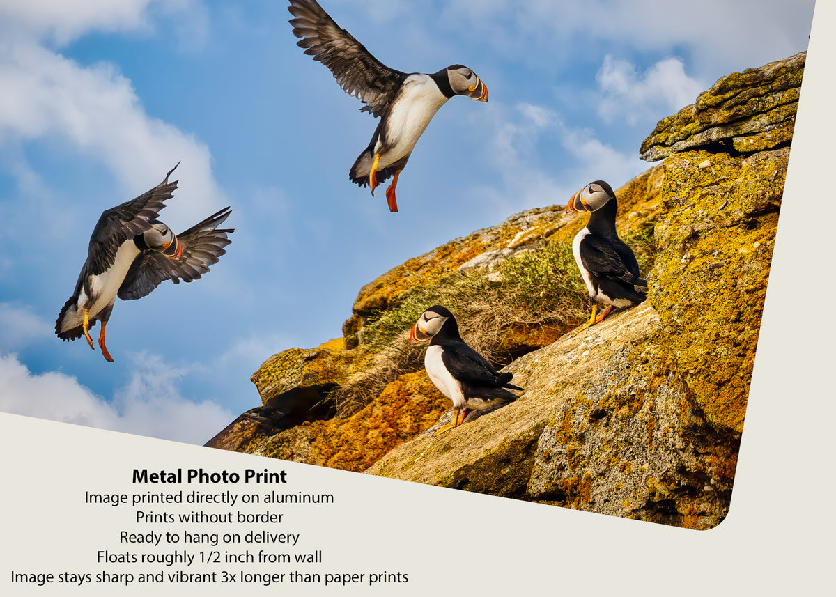 Aproximación final a Puffin Ridge