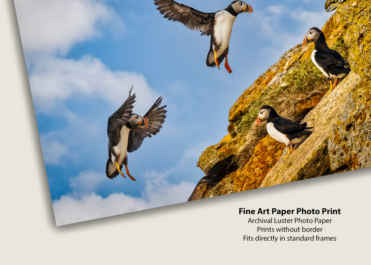 Aproximación final a Puffin Ridge