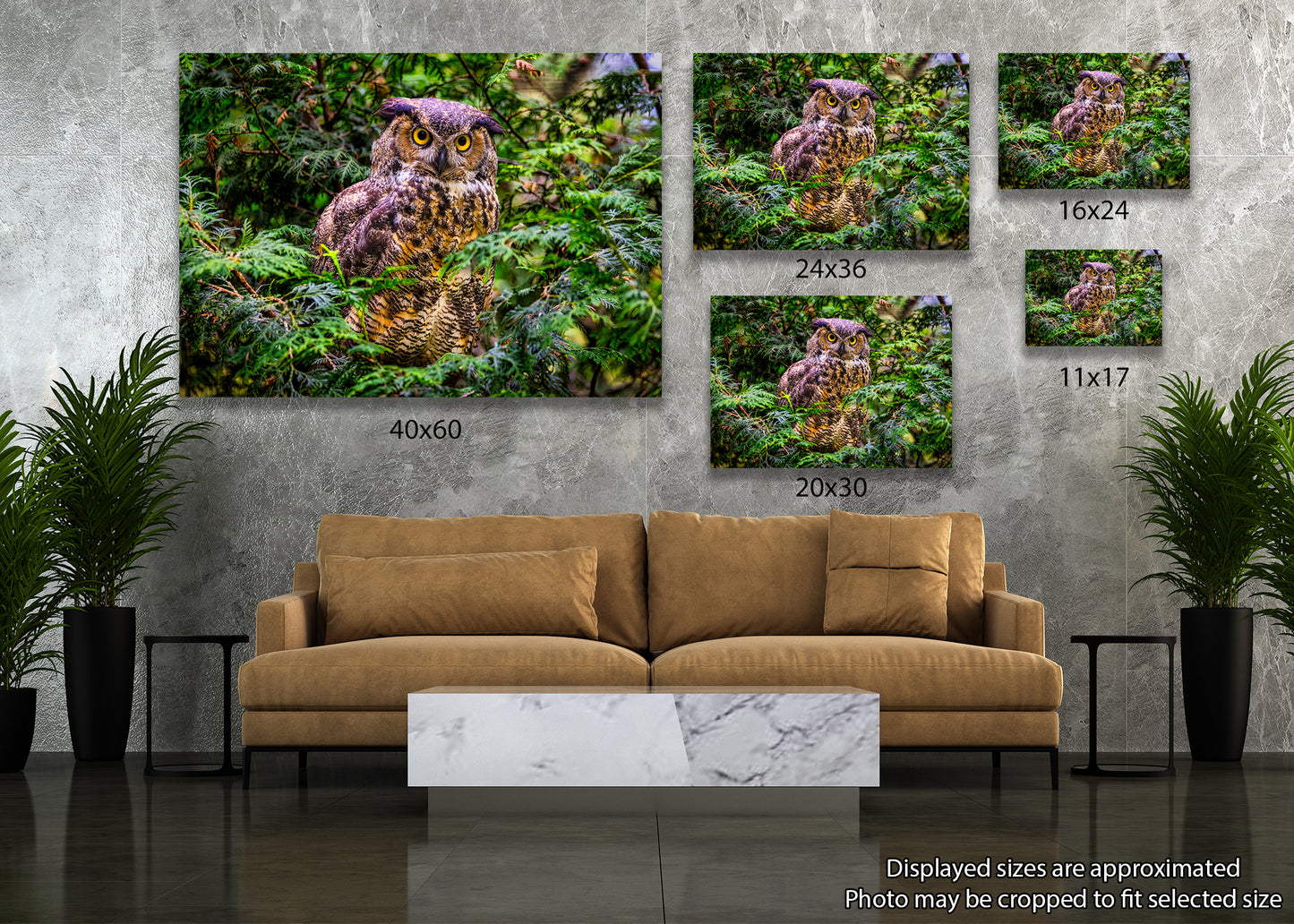 Hooting Hunter in Hiding