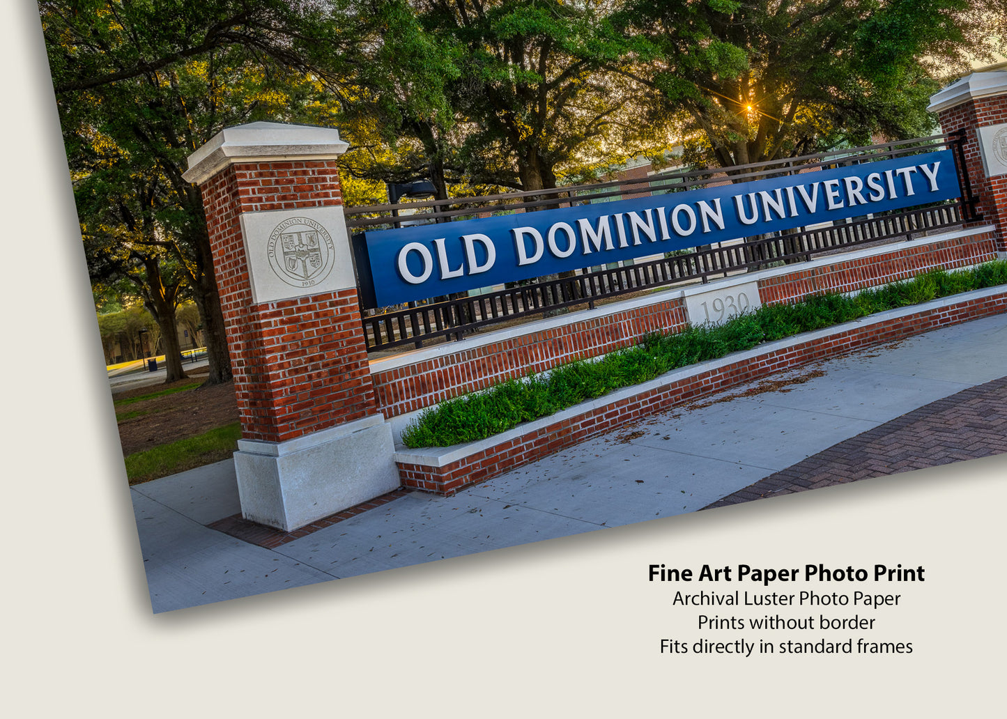 Welcome to ODU