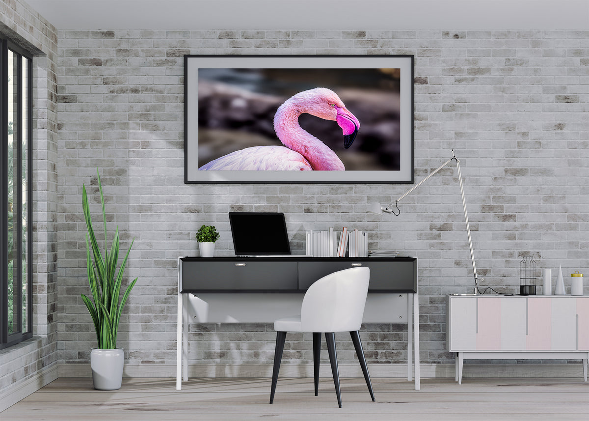 The Pink Profile
