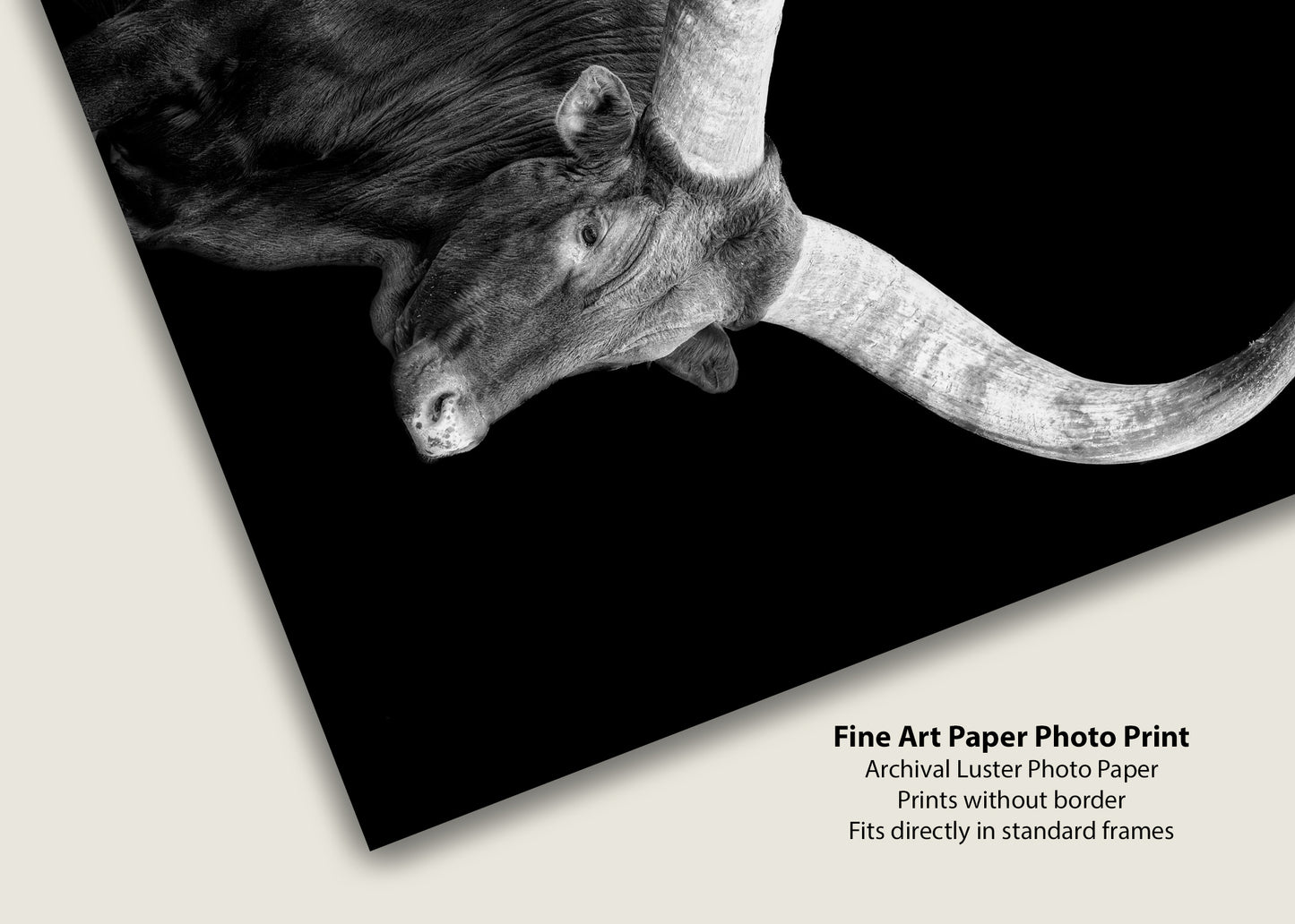 Watusi en la oscuridad