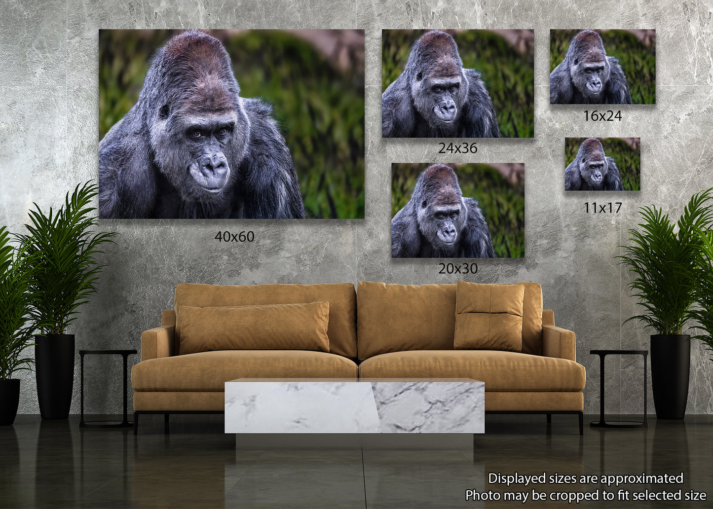 El lomo plateado vigilante