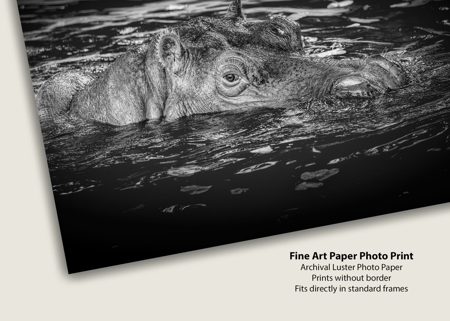 La punta del hipopótamo