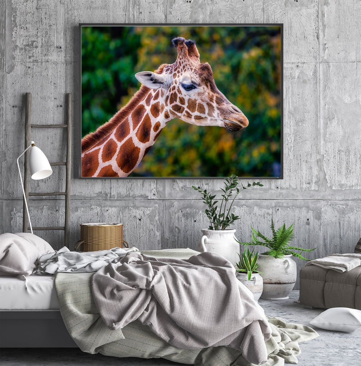 Giraffe in Profile