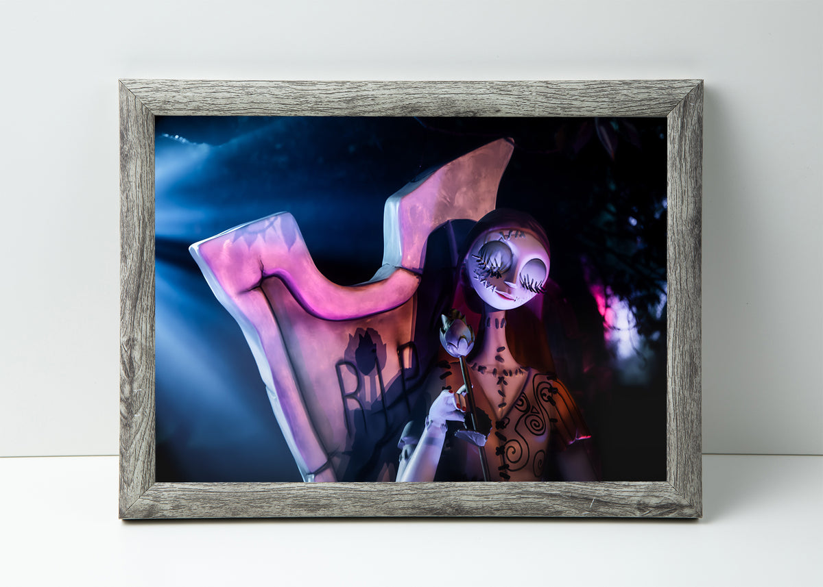 Sally en las sombras