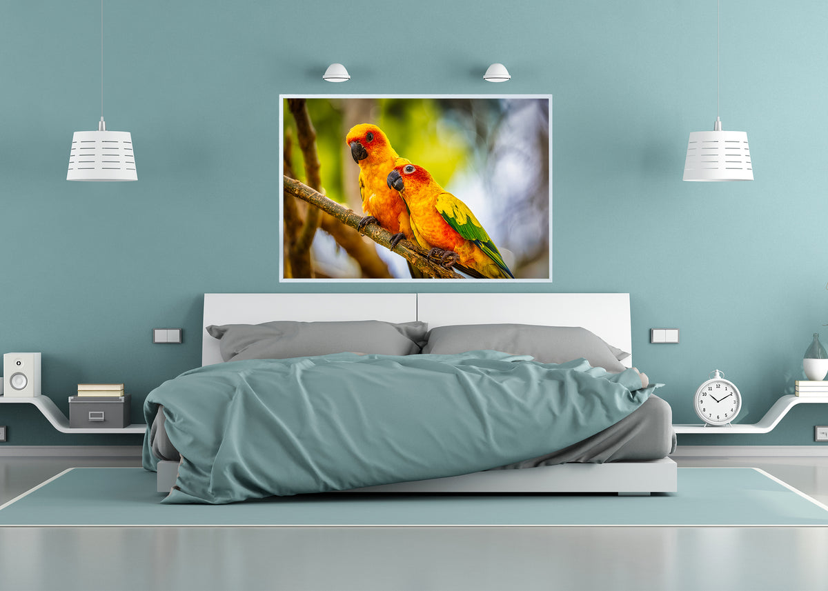 Paired Parrots in Puerto Rico