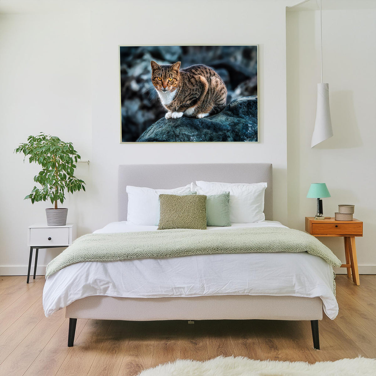 The Cat on the Coast