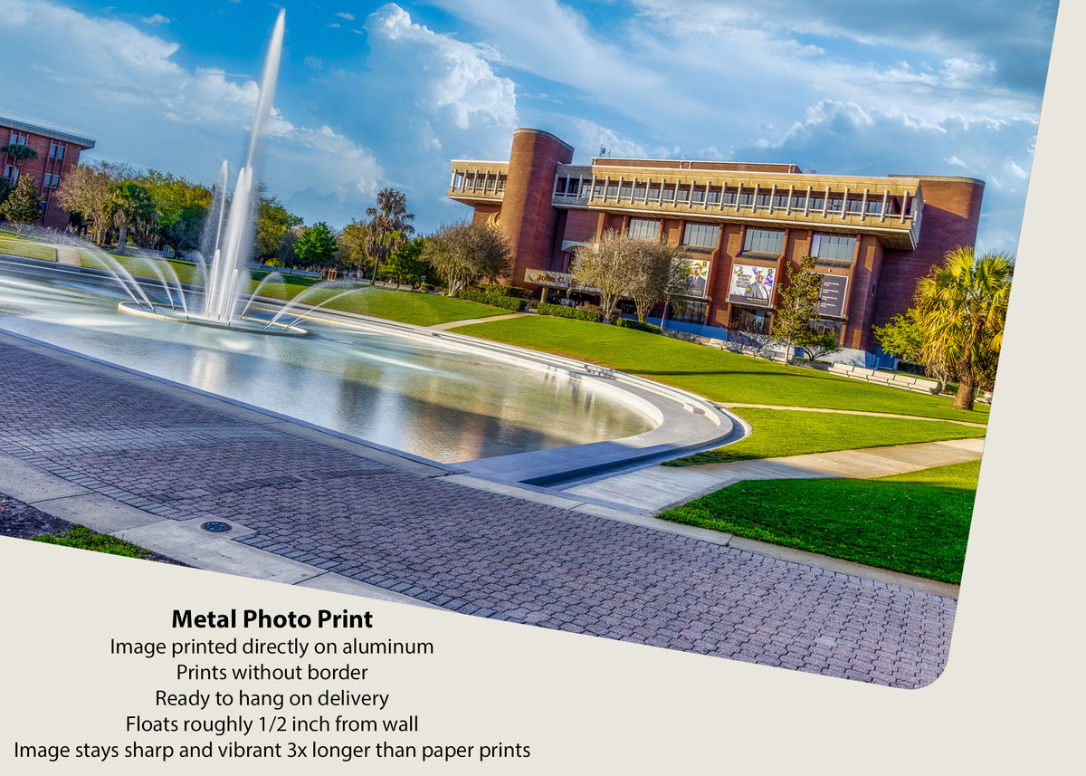 Reflection on Higher Education at UCF