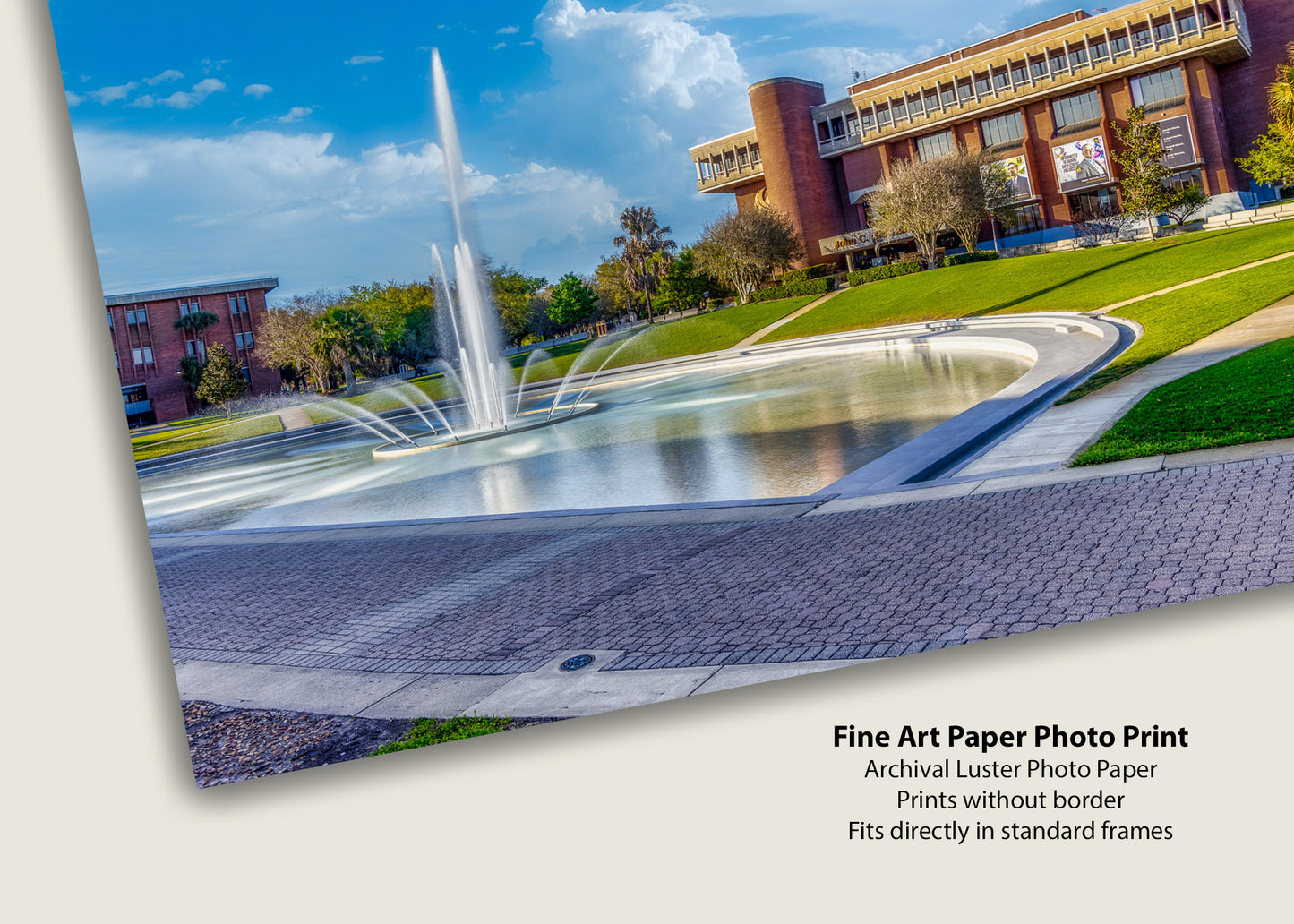 Reflection on Higher Education at UCF