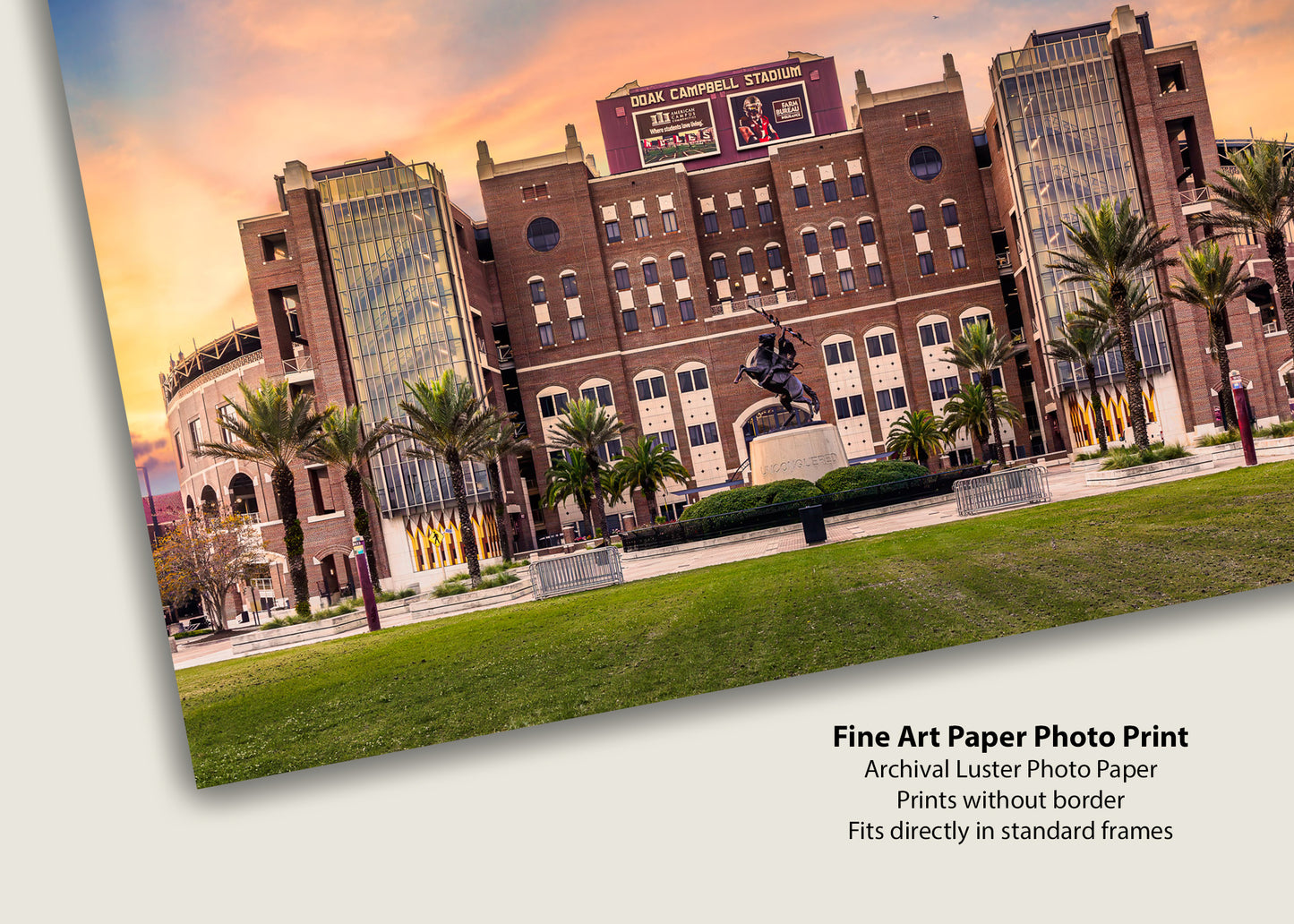 Dawn at Doak Campbell