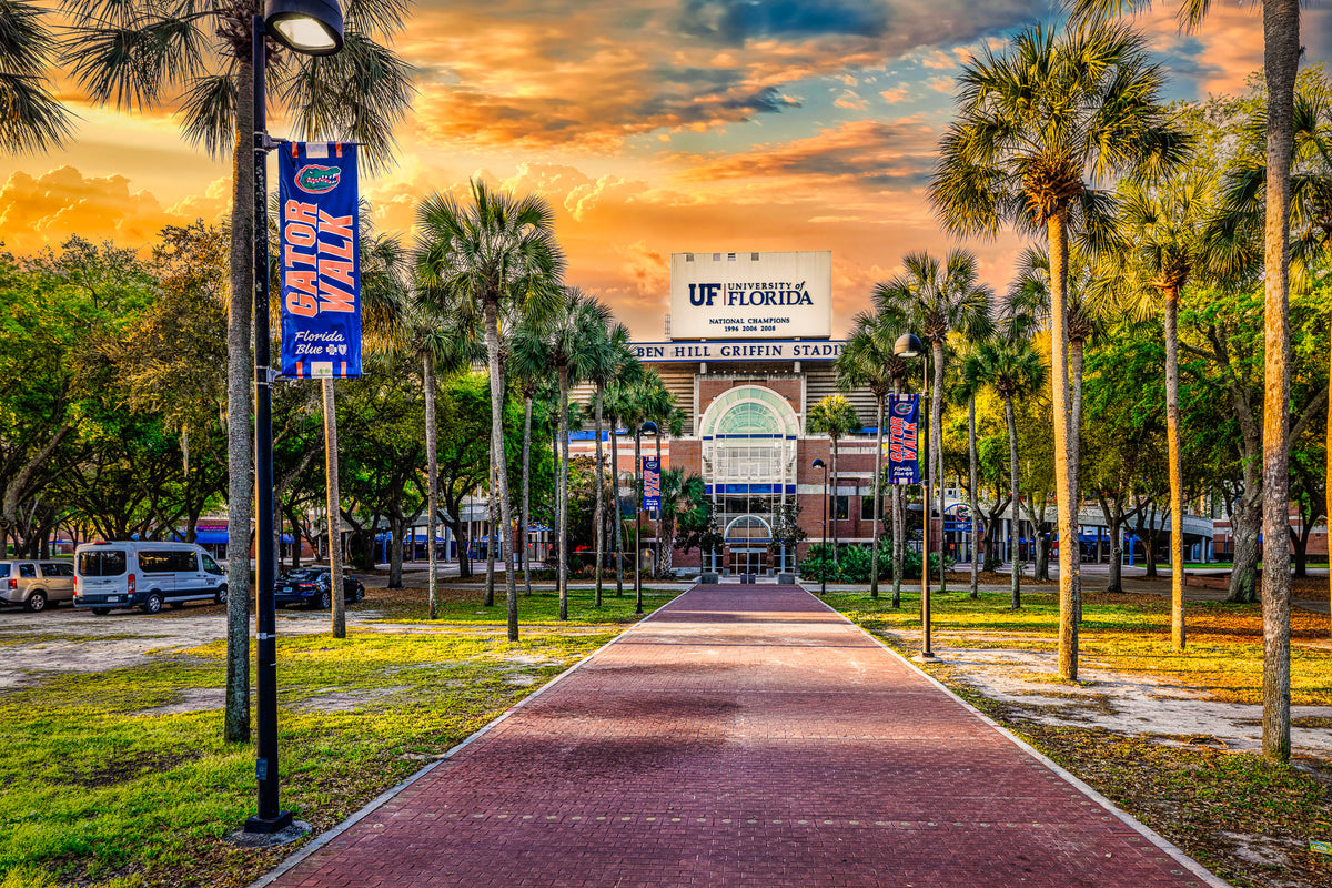 The Swamp at Sunrise