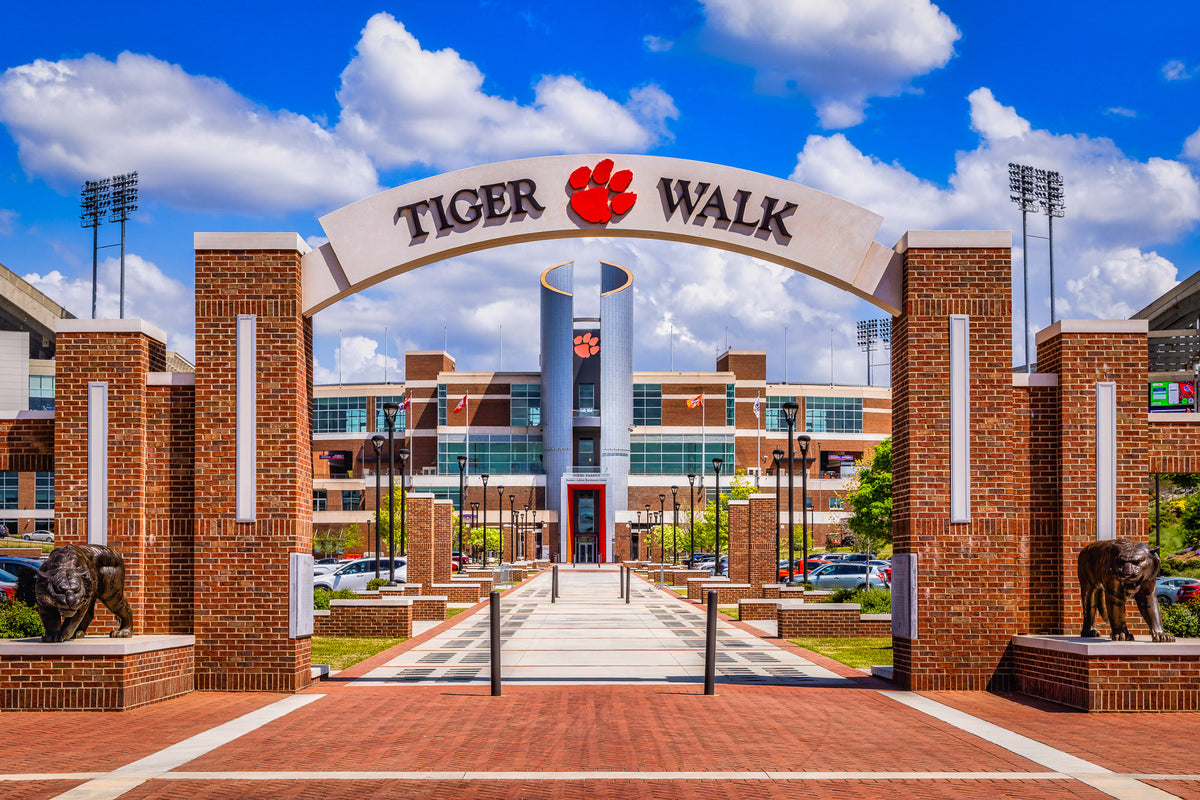 Where Tigers Walk