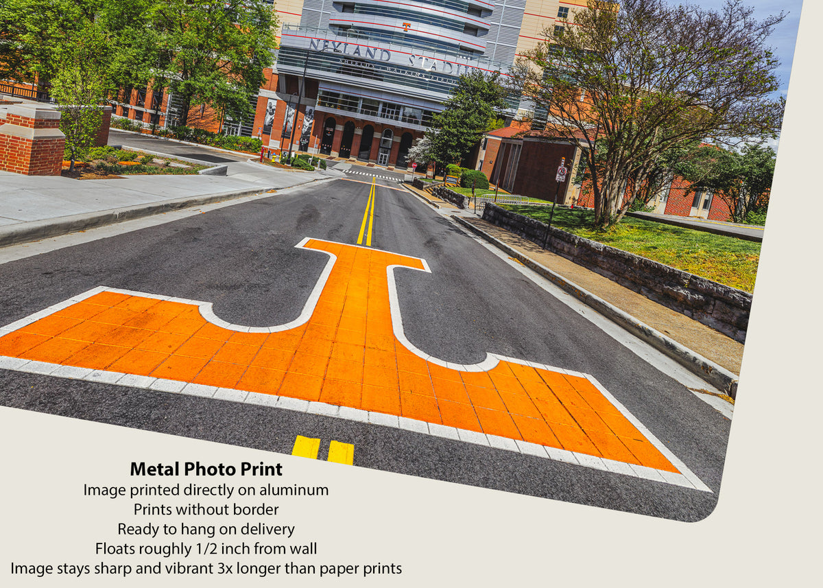 The Road to Neyland