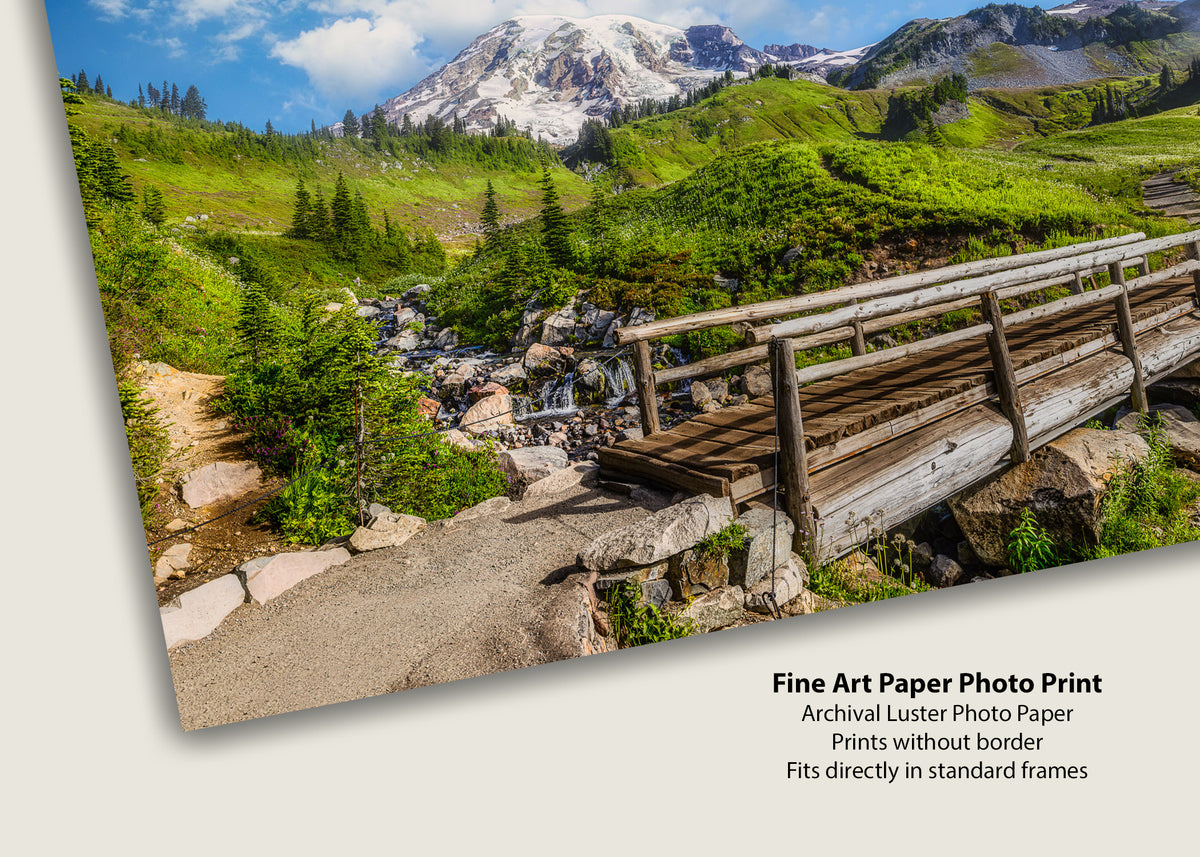 The Road to Rainier