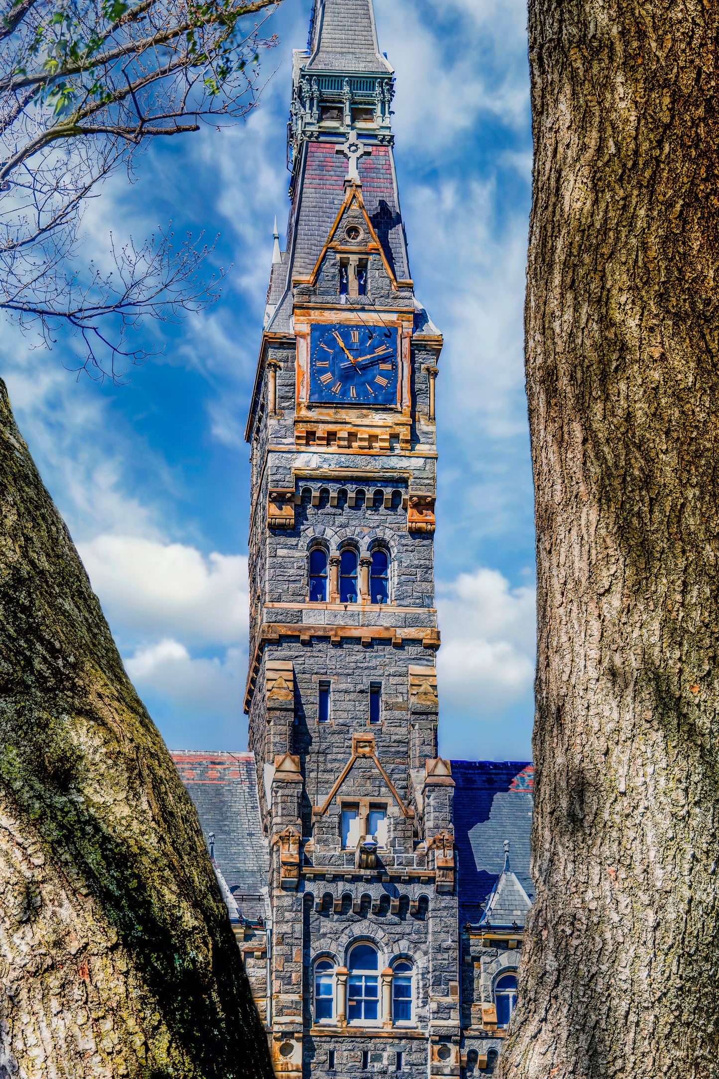 Healy Hall Through the Oak Trees image 0