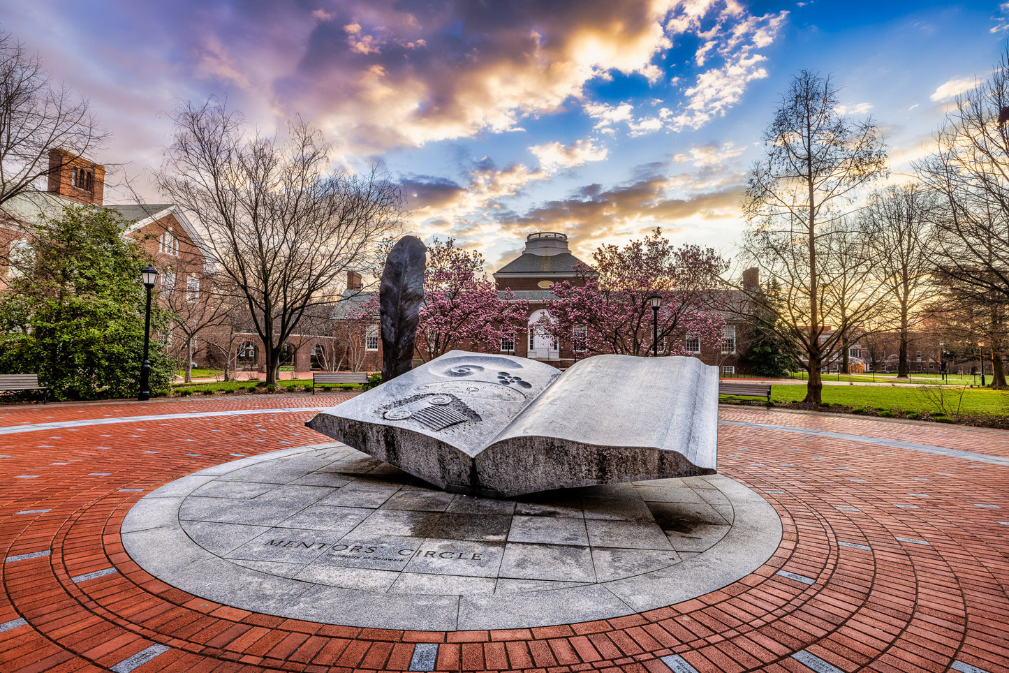 Hitting the books at UD image 0