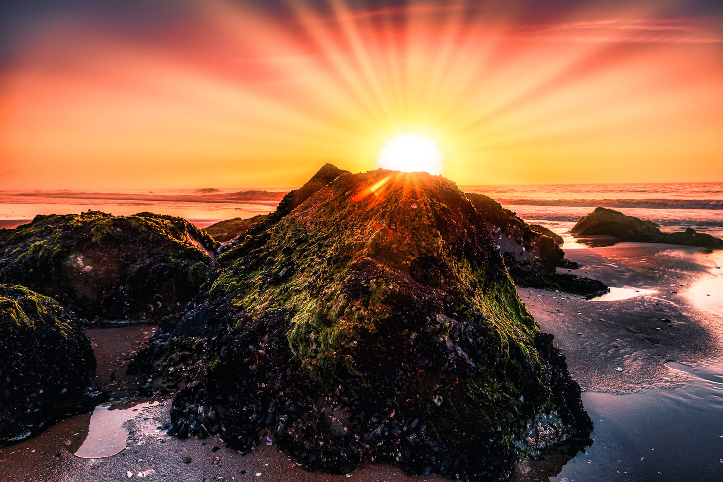 Brilliant Ocean Sunrise image 0