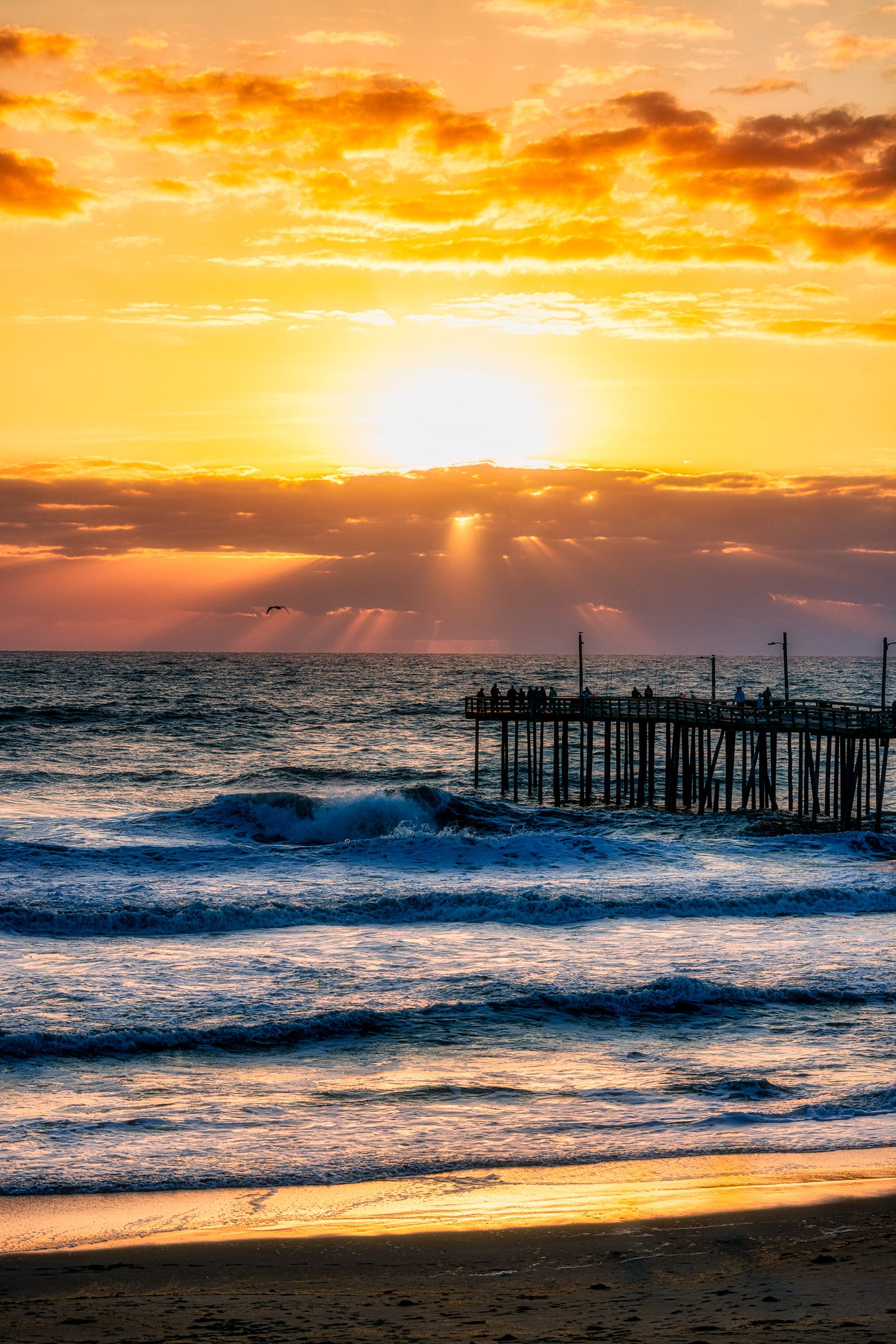 Morning at Nags Head Pier image 0