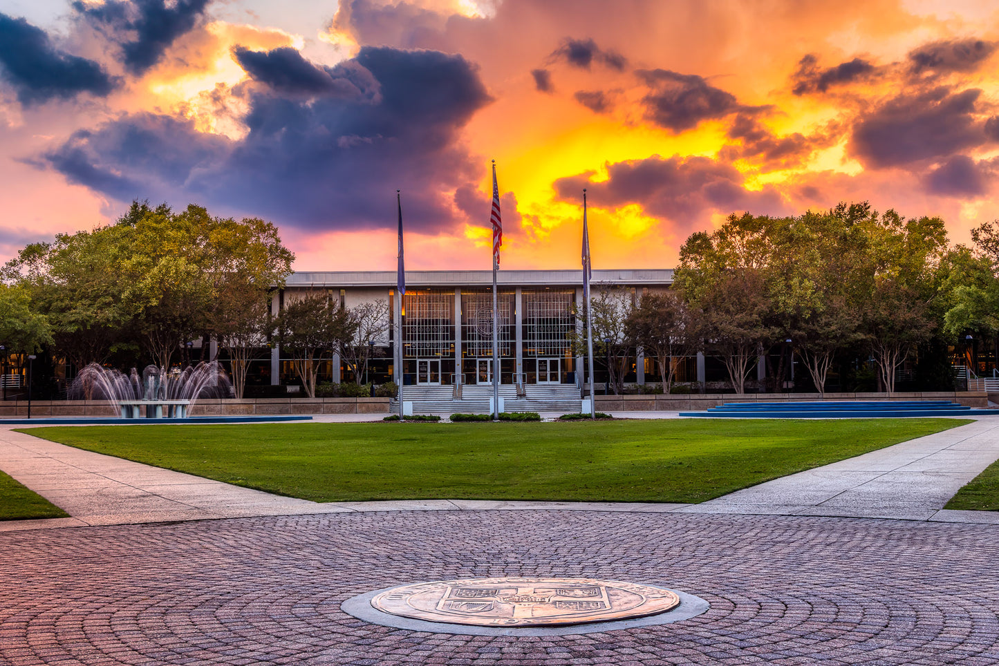Sunset Seal at ODU image 0
