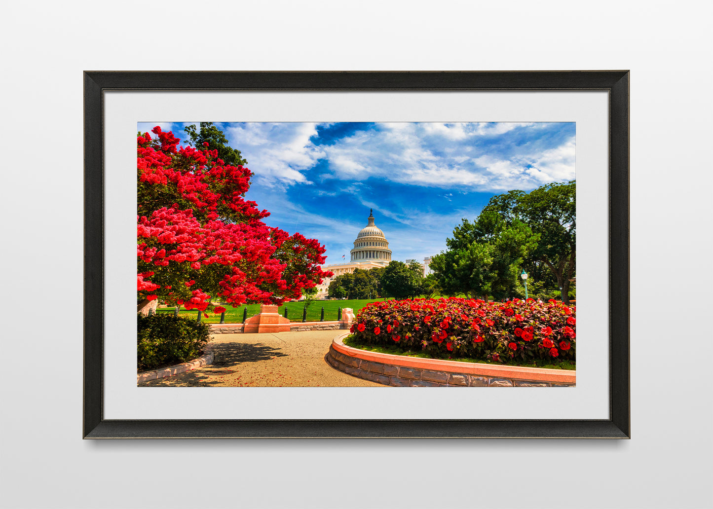 Capitol in Springtime