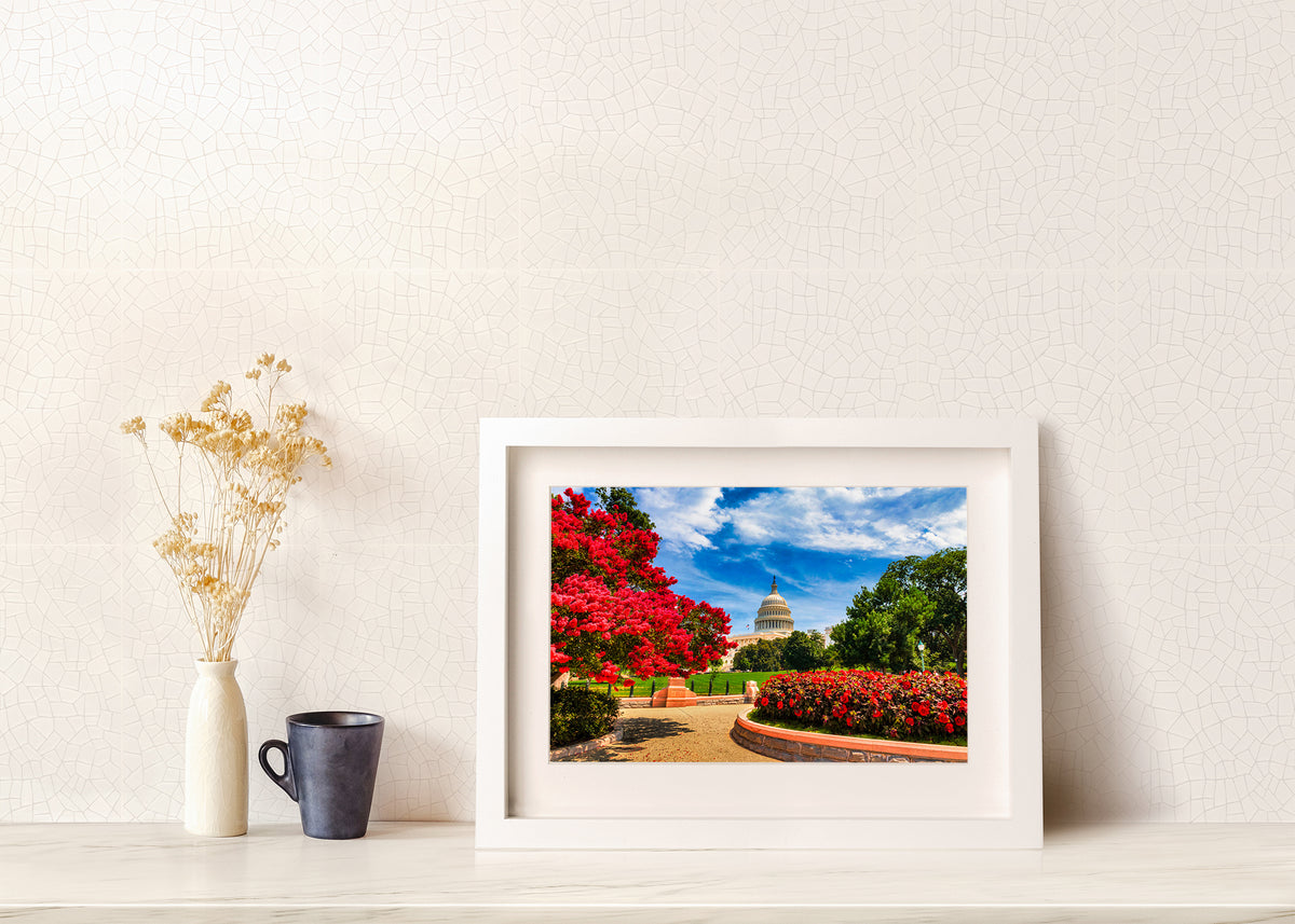 Capitol in Springtime