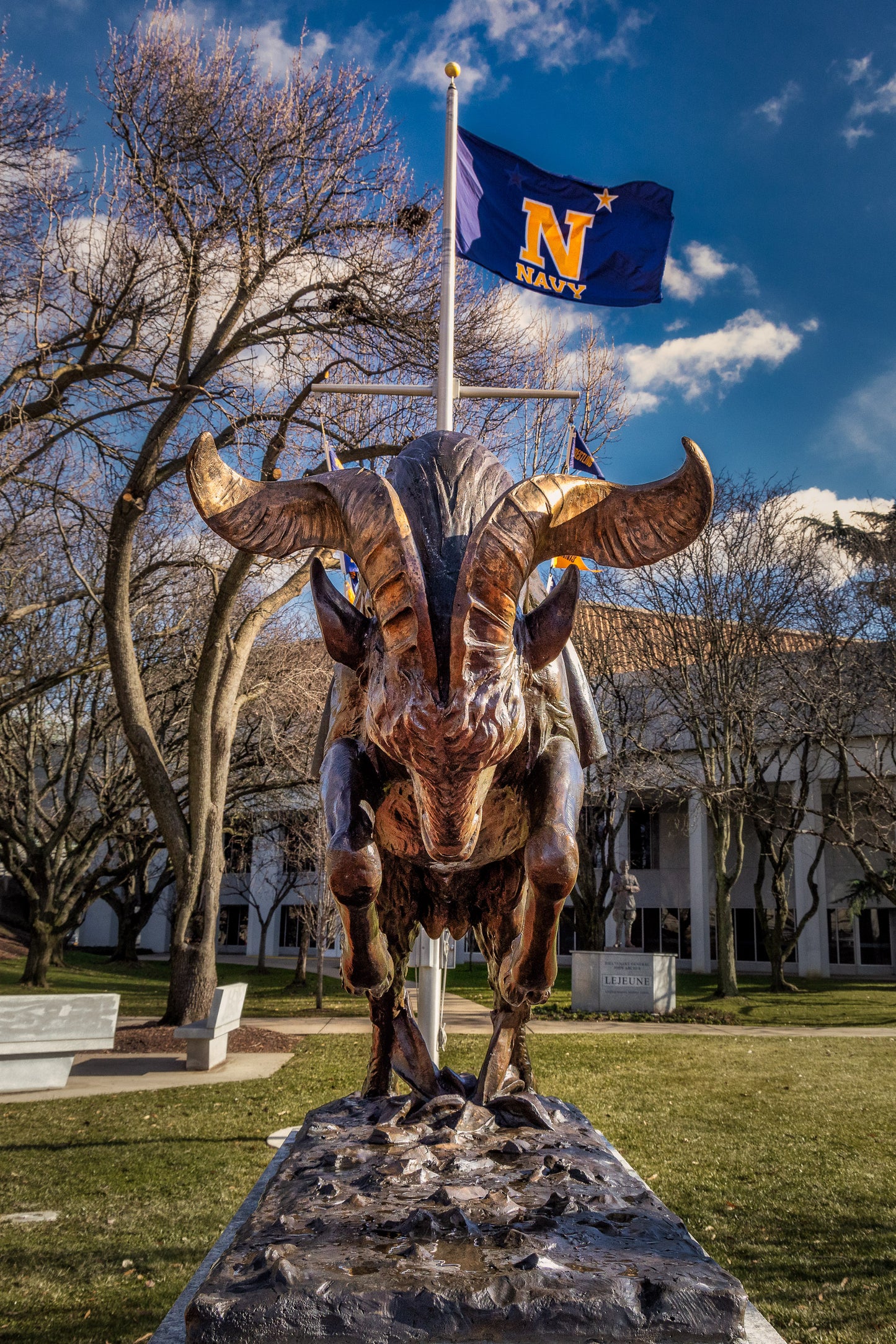 Charging Bill the Goat image 0