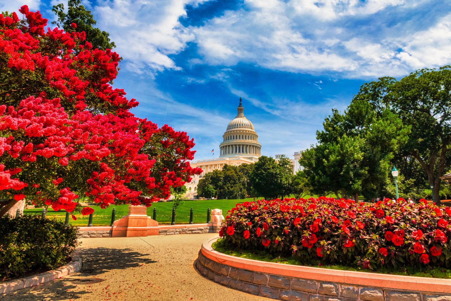 Capitol in Springtime image 0