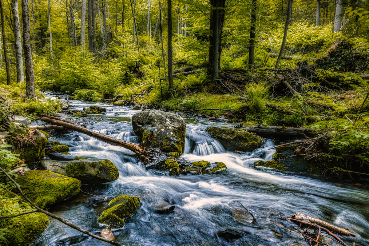 Small waterfall at Bushkill Falls surrounded by woods in Pennsylvania
