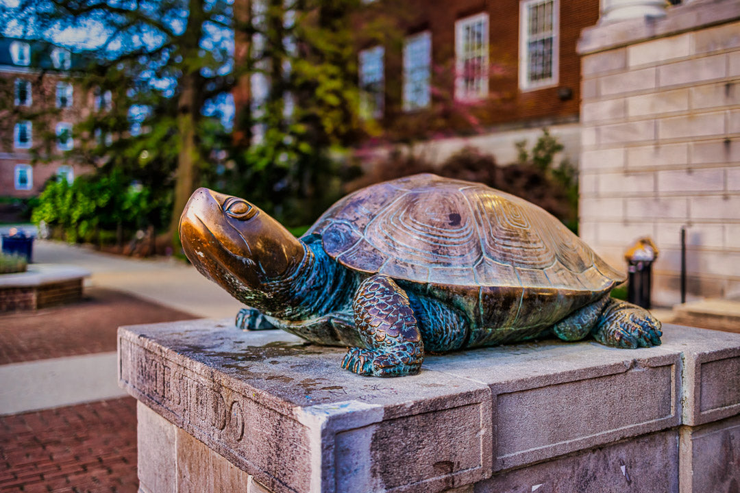 University of Maryland