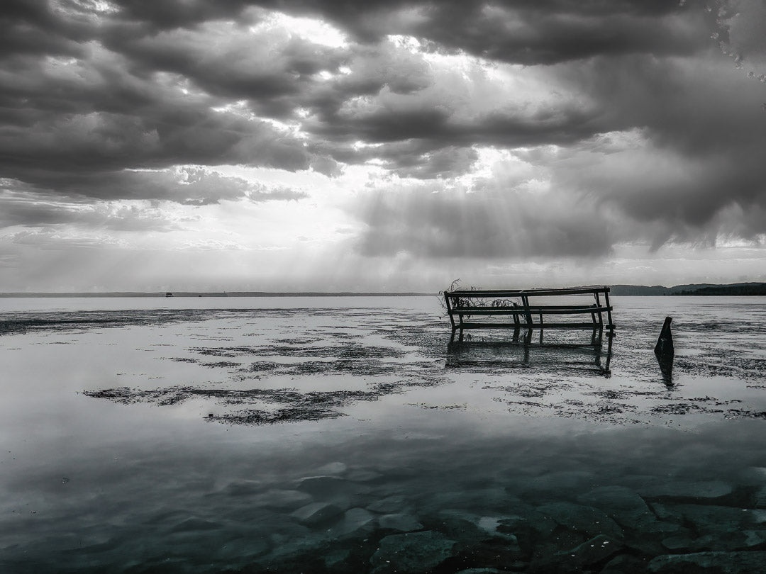 Waiting for Eagles image 0