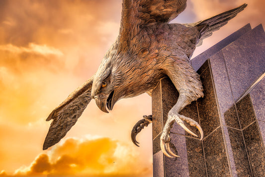 Flying the Orange Skies at BGSU image 0