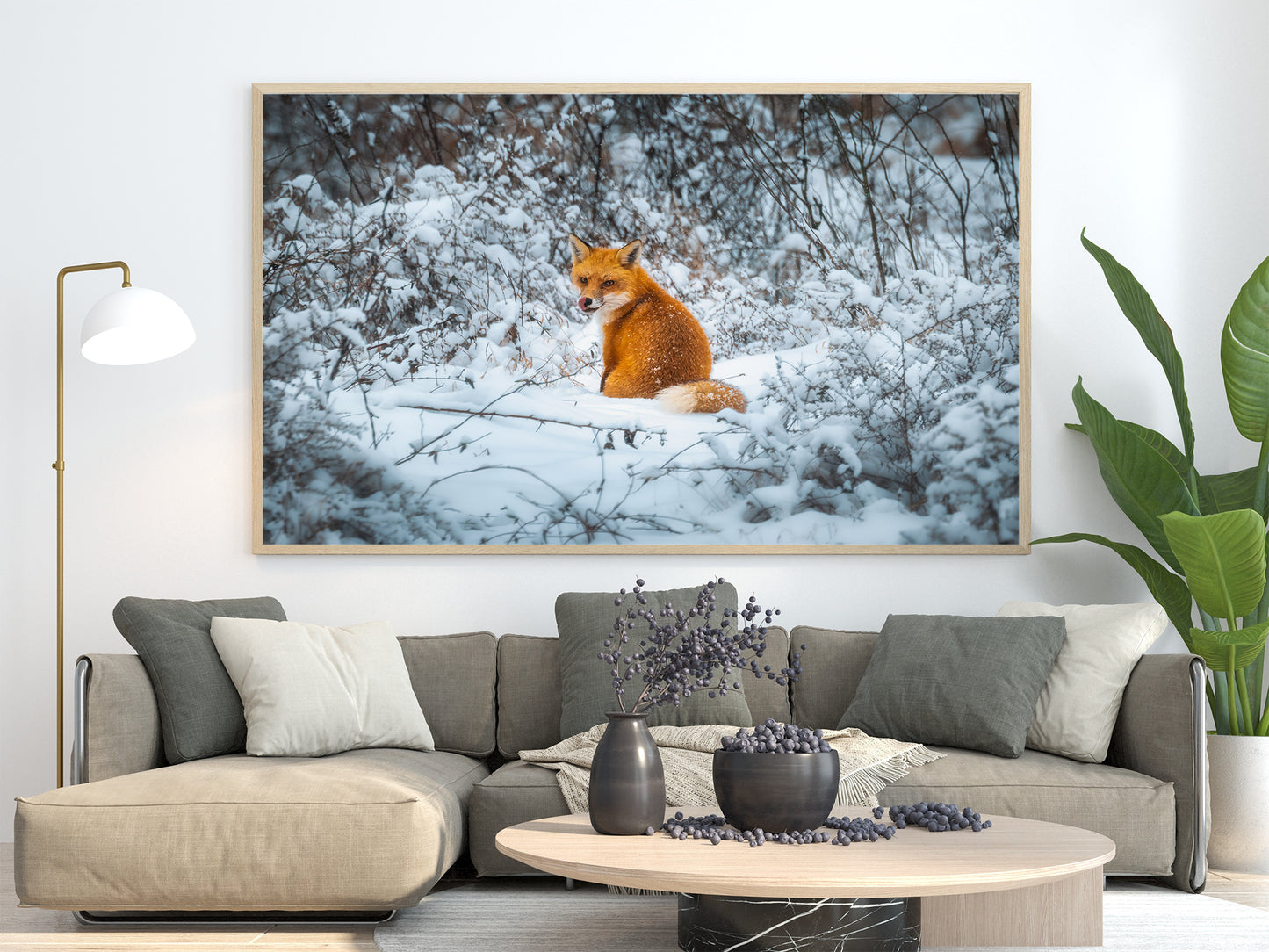 Fox in the Snow image 1